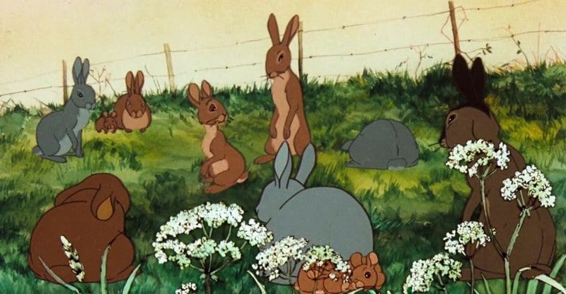 Watership Down quotes