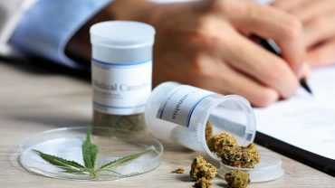about medical cannabis