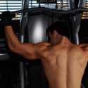 bulk up shoulder muscles