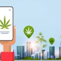 buy cannabis using online dispensary