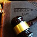 choose immigration lawyer