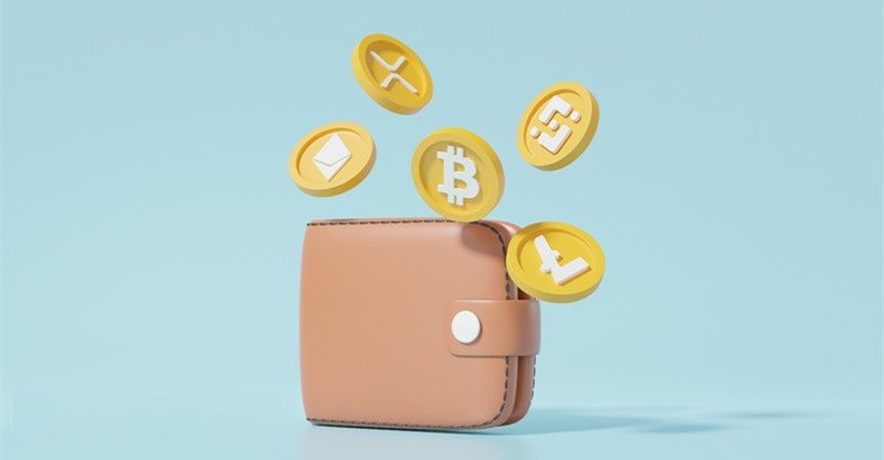 crypto wallet most suitable