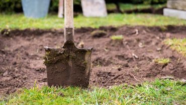 digging on your lawn