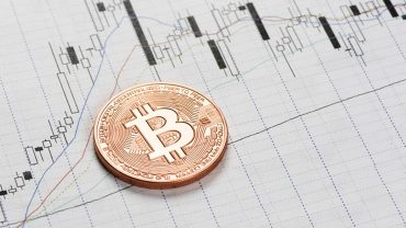 elon musk replies to bitcoin warning