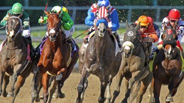 expect from 2023 breeders cup