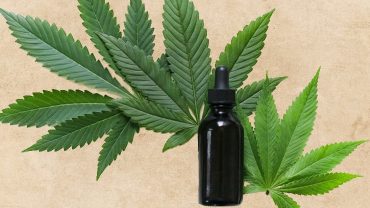 facts about cbd