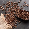 high quality coffee beans