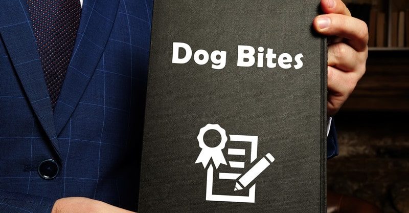 Hire a Dog Bite Lawyer