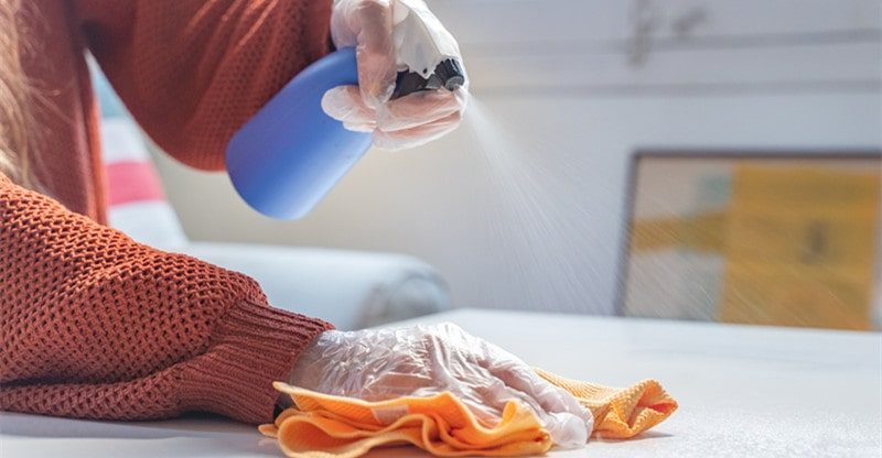 properly clean and disinfect your home
