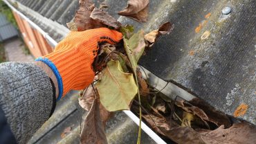 significance of gutter cleaning