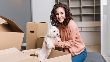 successful renting apartment with pets