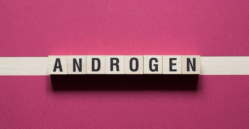 what are androgens