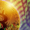 what caused bitcoin carnage